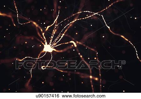 Stock Photograph - Nerve cells, illustration.. Fotosearch