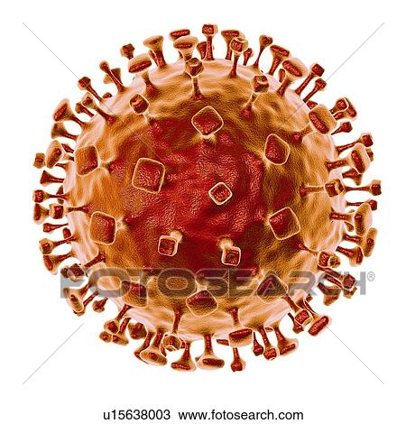Stock Image - Nipah virus particle, computer illustration. Nipah virus is zoonotic (transmitted to humans from animals) and was first found in Malaysia and Singapore in people who had close contact with pigs. It was initially isolated in 1999 upon examining samples.... Fotosearch