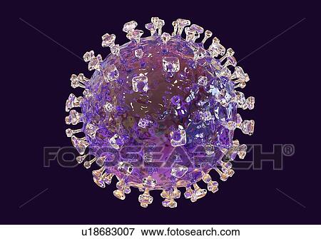 Stock Photo - Nipah virus particle, computer illustration. Nipah virus is zoonotic (transmitted to humans from animals) and was first found in Malaysia and Singapore in people who had close contact with pigs. It was initially isolated in 1999 upon examining samples.... Fotosearch