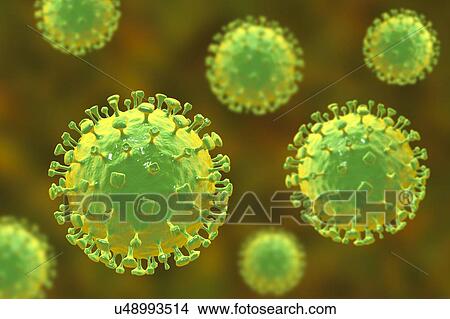 Picture - Nipah virus particles, computer illustration. Nipah virus is zoonotic (transmitted to humans from animals) and was first found in Malaysia and Singapore in people who had close contact with pigs. It was initially isolated in 1999 upon examining.... Fotosearch