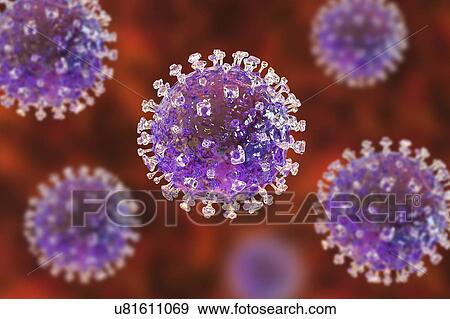 Stock Photo - Nipah virus particles, computer illustration. Nipah virus is zoonotic (transmitted to humans from animals) and was first found in Malaysia and Singapore in people who had close contact with pigs. It was initially isolated in 1999 upon examining.... Fotosearch