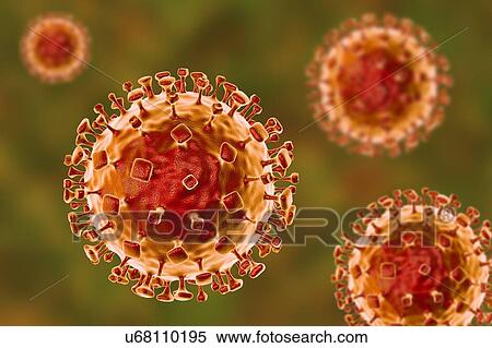 Stock Photography - Nipah virus particles, computer illustration. Nipah virus is zoonotic (transmitted to humans from animals) and was first found in Malaysia and Singapore in people who had close contact with pigs. It was initially isolated in 1999 upon examining.... Fotosearch