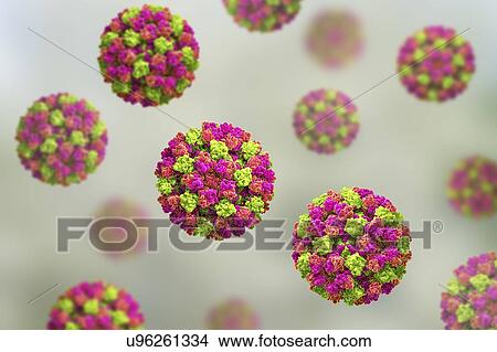 Picture - Norovirus, computer illustration. Norovirus is a genus of RNA (ribonucleic acid) viruses (of the family Caliciviridae), which cause about half of all gastroenteritis cases around the world. The disease is characterised by nausea, vomiting, diarrhoea.... Fotosearch