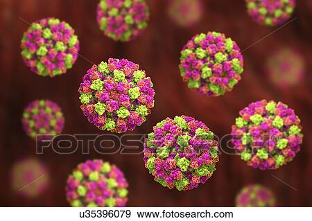 Stock Photo - Norovirus, computer illustration. Norovirus is a genus of RNA (ribonucleic acid) viruses (of the family Caliciviridae), which cause about half of all gastroenteritis cases around the world. The disease is characterised by nausea, vomiting, diarrhoea.... Fotosearch