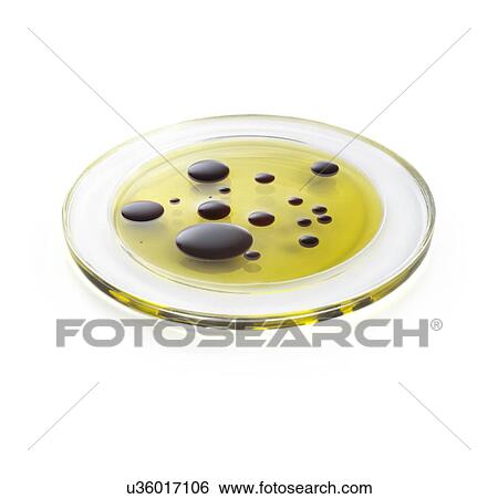 Stock Photograph - Oil and vinegar.. Fotosearch