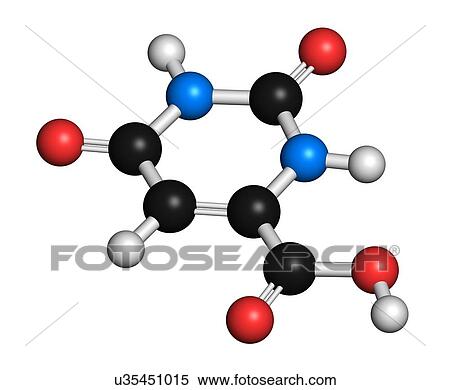 Stock Photography - Orotic acid molecule. 3D rendering. Atoms are represented as spheres with conventional colour-coding: hydrogen (white), carbon (black), oxygen (red), nitrogen (blue).. Fotosearch