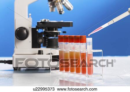 Stock Image - Pathology lab, conceptual image.. Fotosearch