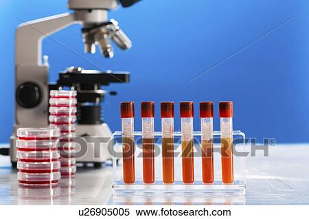Stock Photography - Pathology lab, conceptual image.. Fotosearch