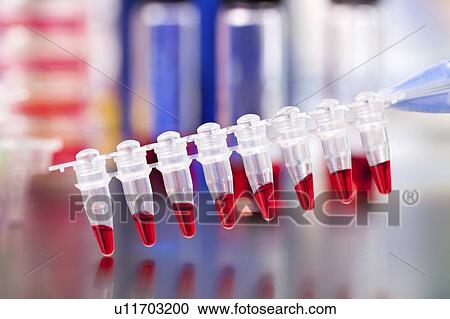 Stock Image - PCR micro tube strip.. Fotosearch