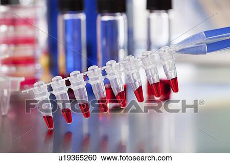 PCR micro tube strip. View Large Photo Image Stock Image - PCR micro tube strip.. Fotosearch