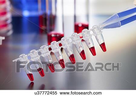 Stock Photography - PCR micro tube strip.. Fotosearch