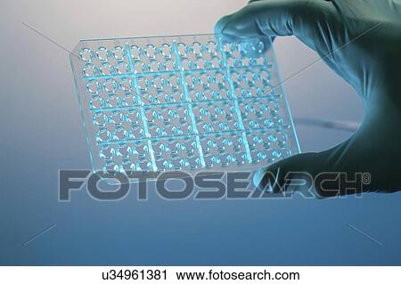 PCR (polymerase chain reaction) multiwell plate. View Large Photo Image Stock Image - PCR (polymerase chain reaction) multiwell plate.. Fotosearch