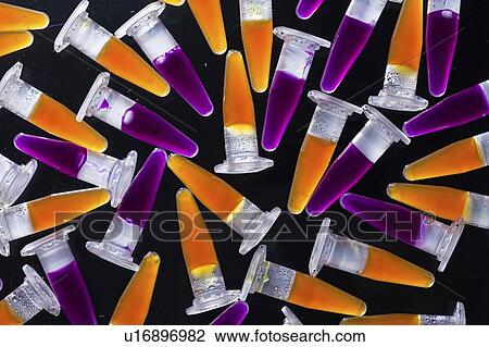 PCR tubes on black background. View Large Photo Image Stock Image - PCR tubes on black background.. Fotosearch
