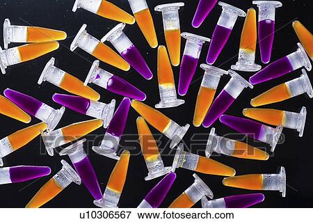 Stock Photo - PCR tubes on black background.. Fotosearch