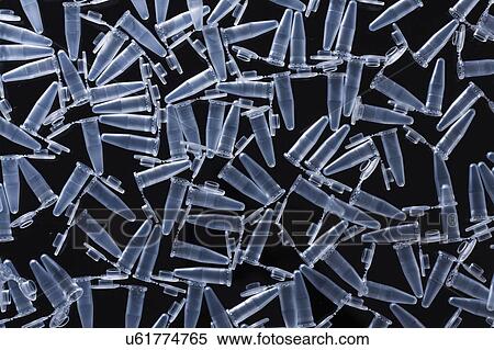 Stock Photography - PCR tubes on black background.. Fotosearch