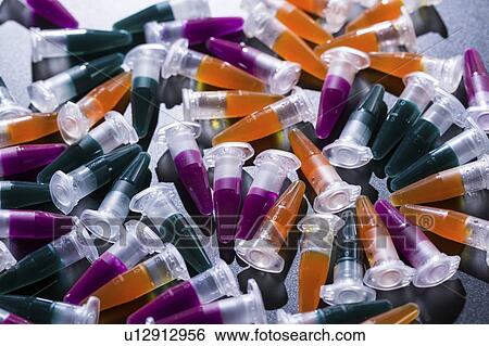 PCR tubes. View Large Photo Image Stock Photograph - PCR tubes.. Fotosearch