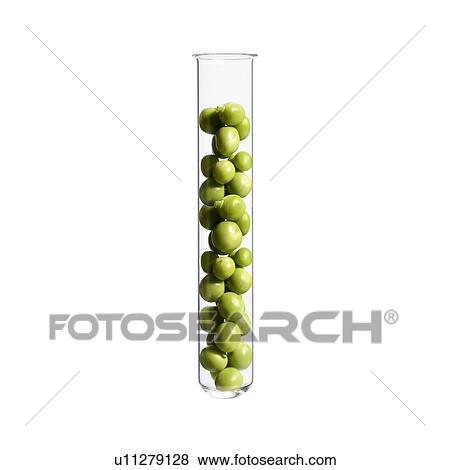 Peas in test tube, studio shot. View Large Photo Image Stock Photo - Peas in test tube, studio shot.. Fotosearch