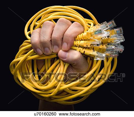 Stock Image - Person holding RJ45 cables.. Fotosearch