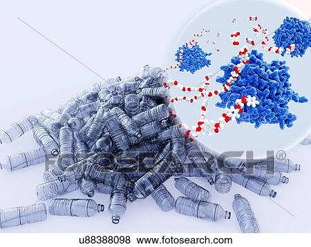Stock Photo - PETase enzymes breaking down plastic, illustration. PETase (blue) is a bacterial enzyme that breaks down PET (polyethylene terephthalate) plastics (bottles shown) to monomeric molecules (inset at upper right). The whole bacterial degradation process.... Fotosearch