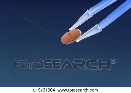 Pill held between tweezers. View Large Photo Image Picture - Pill held between tweezers.. Fotosearch