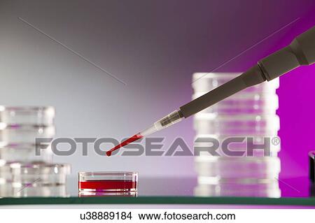 Pipette and Petri dishes. View Large Photo Image Picture - Pipette and Petri dishes.. Fotosearch