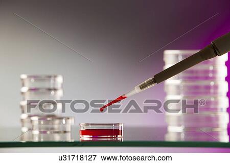 Stock Photo - Pipette and Petri dishes.. Fotosearch
