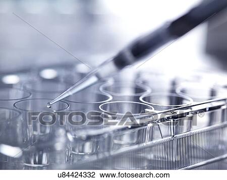 Stock Image - Pipetting sample into multiwell plate for analysis in a laboratory.. Fotosearch