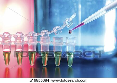 Picture - Pipetting sample.. Fotosearch