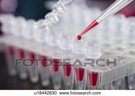 Stock Image - Pipetting sample.. Fotosearch