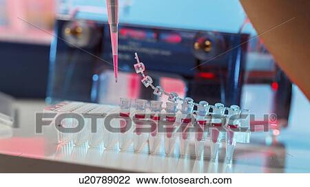 Stock Image - Pipetting sample.. Fotosearch