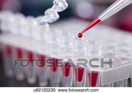 Stock Image - Pipetting sample.. Fotosearch