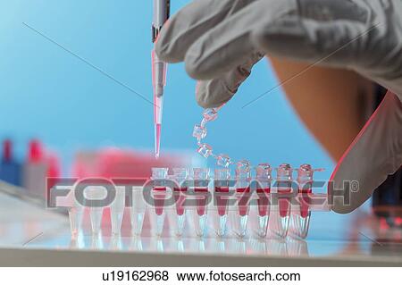 Pipetting sample. View Large Photo Image Stock Photo - Pipetting sample.. Fotosearch