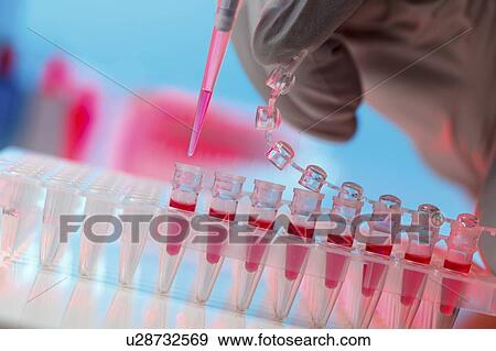 Stock Photo - Pipetting sample.. Fotosearch