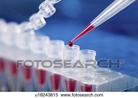 Pipetting sample. View Large Photo Image Stock Photography - Pipetting sample.. Fotosearch