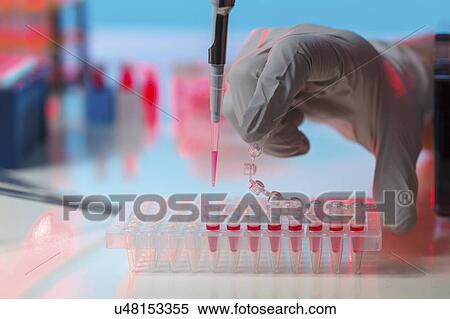 Pipetting sample. View Large Photo Image Stock Photography - Pipetting sample.. Fotosearch