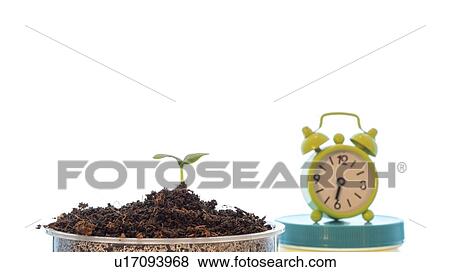 Stock Photo - Plant growth, conceptual image.. Fotosearch