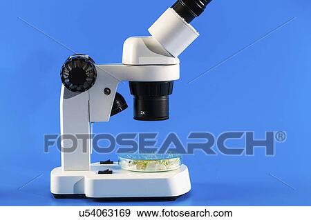 Stock Photo - Plant research, conceptual image.. Fotosearch