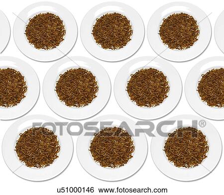 Stock Photograph - Plates of mealworm, studio shot.. Fotosearch