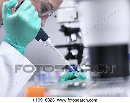 Stock Image - Preparing sample vials. Laboratory worker pipetting liquid into an eppendorf vial.. Fotosearch
