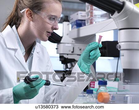Preparing sample vials. Laboratory worker pipetting liquid into an eppendorf vial. View Large Photo Image Stock Image - Preparing sample vials. Laboratory worker pipetting liquid into an eppendorf vial.. Fotosearch