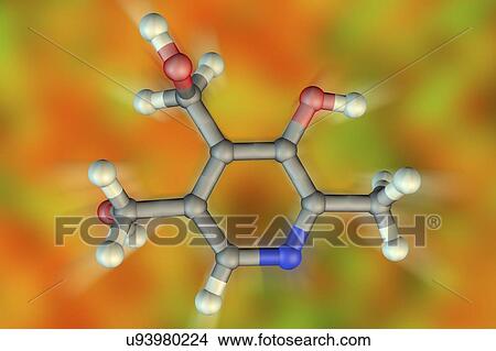 Pyridoxine. Molecular model of the pyridoxine (C8. H11. N. O3) form of vitamin B6. This vitamin is required as a cofactor in many reactions of amino acids, lipids and glucose. Atoms are represented as spheres and are colour-coded: carbon (grey),... View Large Photo Image Picture - Pyridoxine. Molecular model of the pyridoxine (C8. H11. N. O3) form of vitamin B6. This vitamin is required as a cofactor in many reactions of amino acids, lipids and glucose. Atoms are represented as spheres and are colour-coded: carbon (grey),.... Fotosearch