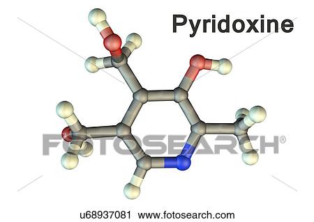 Stock Image - Pyridoxine. Molecular model of the pyridoxine (C8. H11. N. O3) form of vitamin B6. This vitamin is required as a cofactor in many reactions of amino acids, lipids and glucose. Atoms are represented as spheres and are colour-coded: carbon (grey),.... Fotosearch