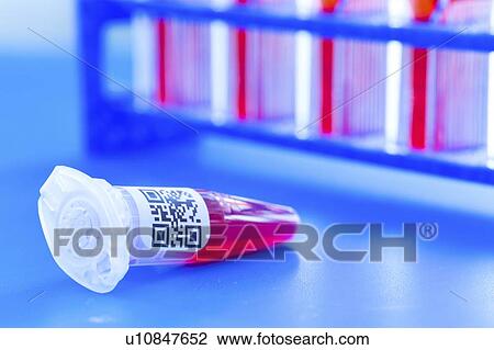 Stock Image - QR code on sample.. Fotosearch
