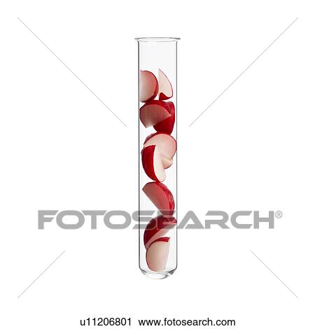 Stock Image - Radish in test tube, studio shot.. Fotosearch