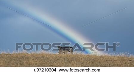 Picture - Rainbow over Oak View California. Fotosearch