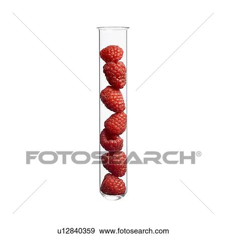 Raspberries in test tube, studio shot. View Large Photo Image Stock Photo - Raspberries in test tube, studio shot.. Fotosearch