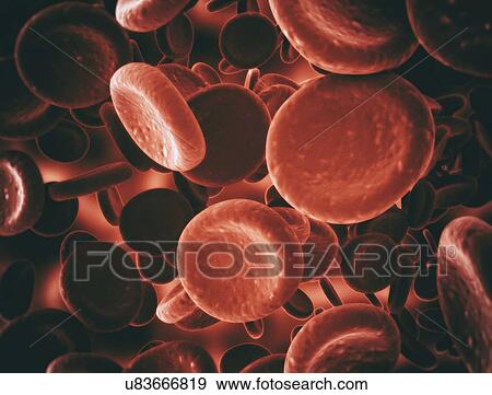 Red blood cells, computer illustration. View Large Photo Image Stock Photo - Red blood cells, computer illustration.. Fotosearch