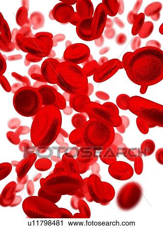 Stock Image - Red blood cells, illustration.. Fotosearch