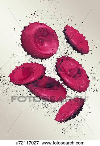 Red blood cells, illustration. View Large Photo Image Stock Photo - Red blood cells, illustration.. Fotosearch