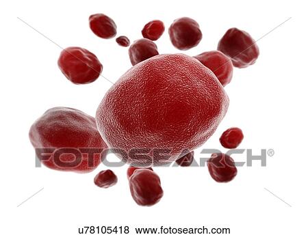 Stock Photo - Red cells, computer illustration.. Fotosearch